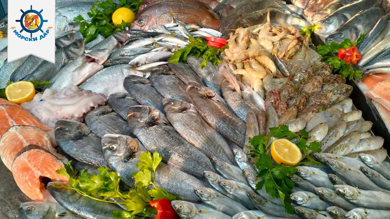 Морски дар, Morski dar