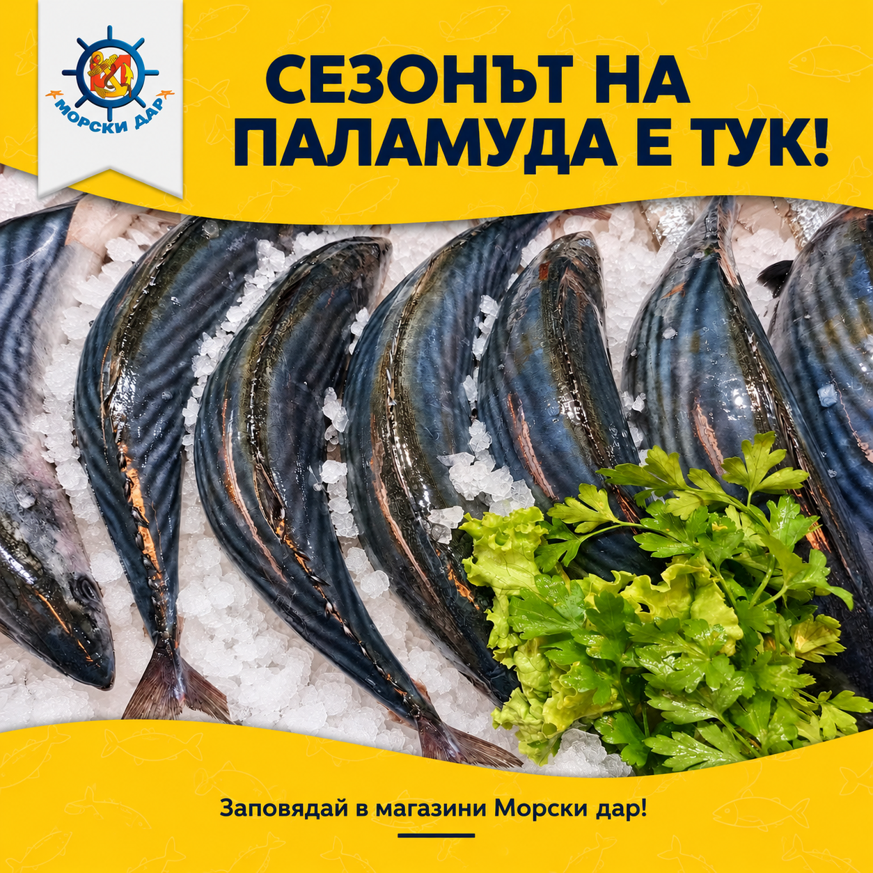 Морски дар, Morski dar